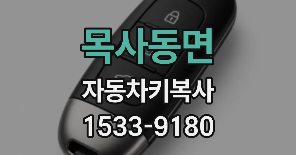 목사동면 자동차키복사