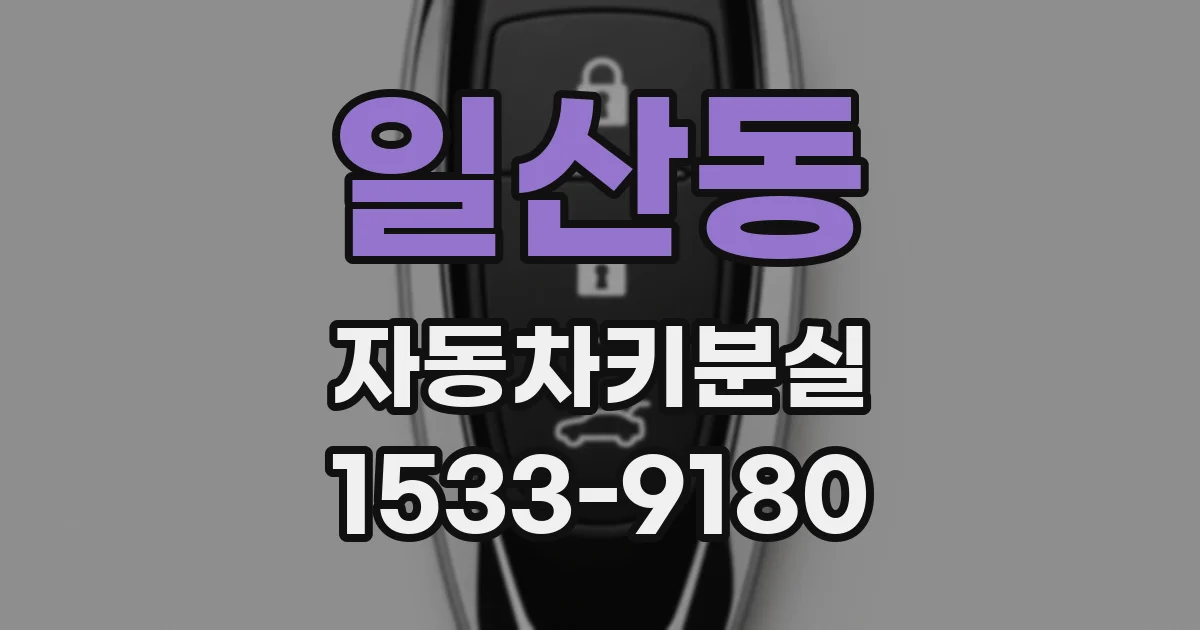 일산동 자동차키분실