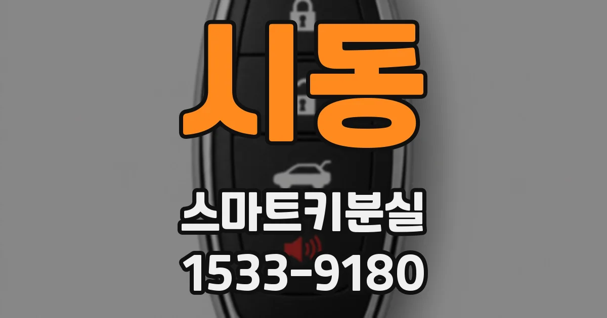 시동 스마트키분실