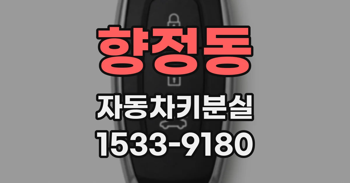 향정동 자동차키분실