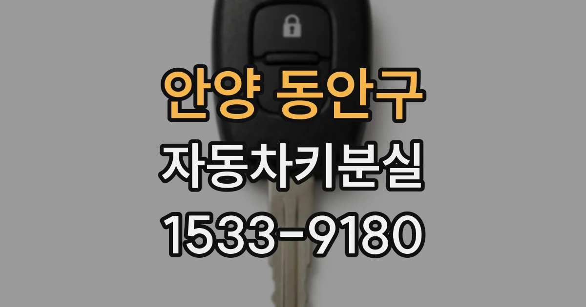 안양 동안구 자동차키분실