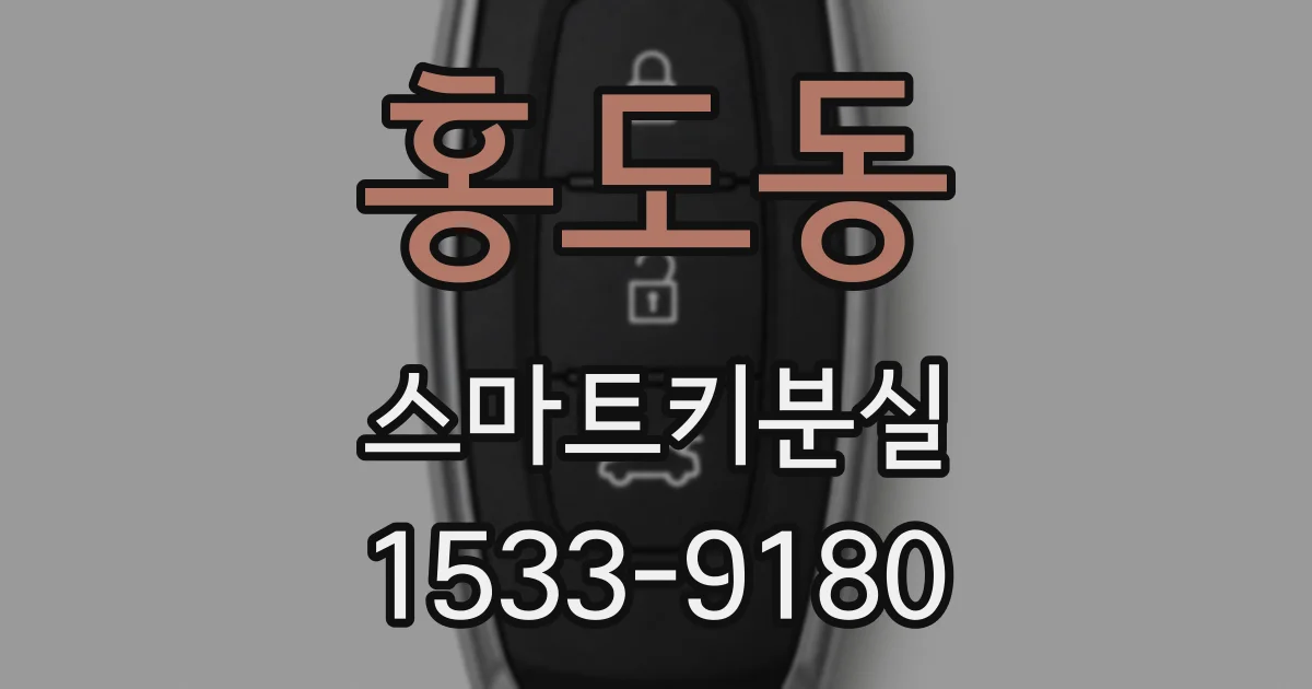 홍도동 스마트키분실
