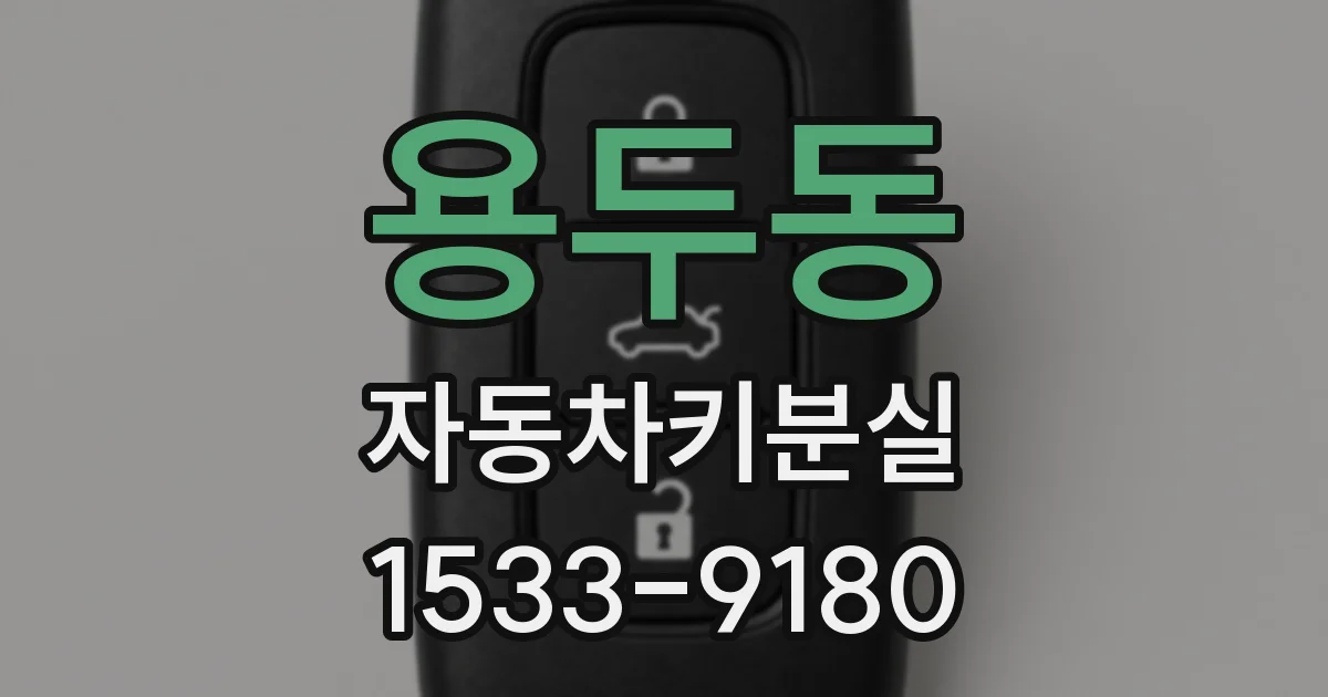 용두동 자동차키분실