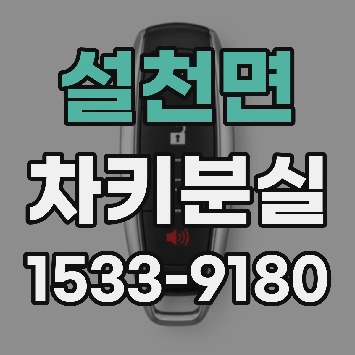 설천면 차키분실