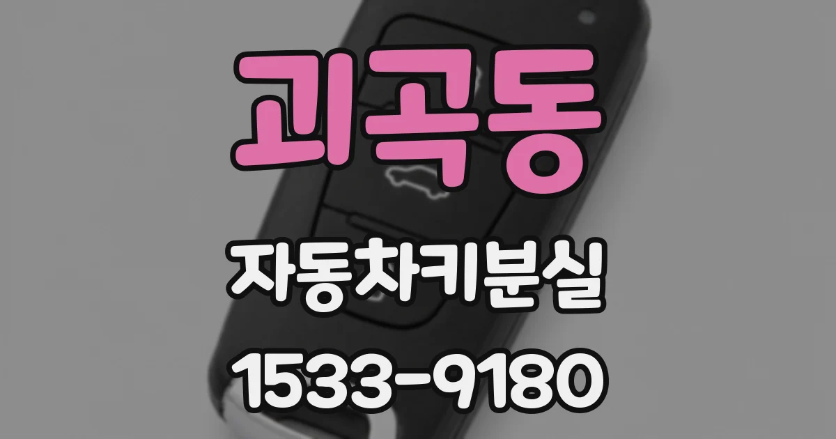괴곡동 자동차키분실