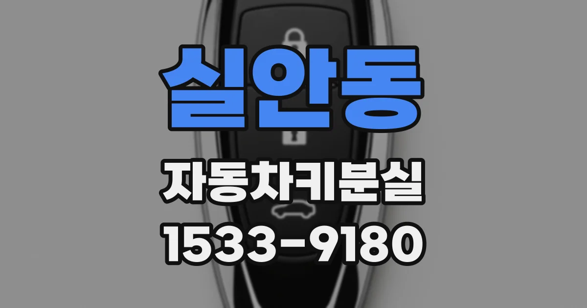 실안동 자동차키분실