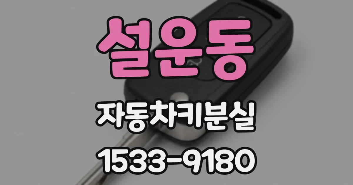 설운동 자동차키분실