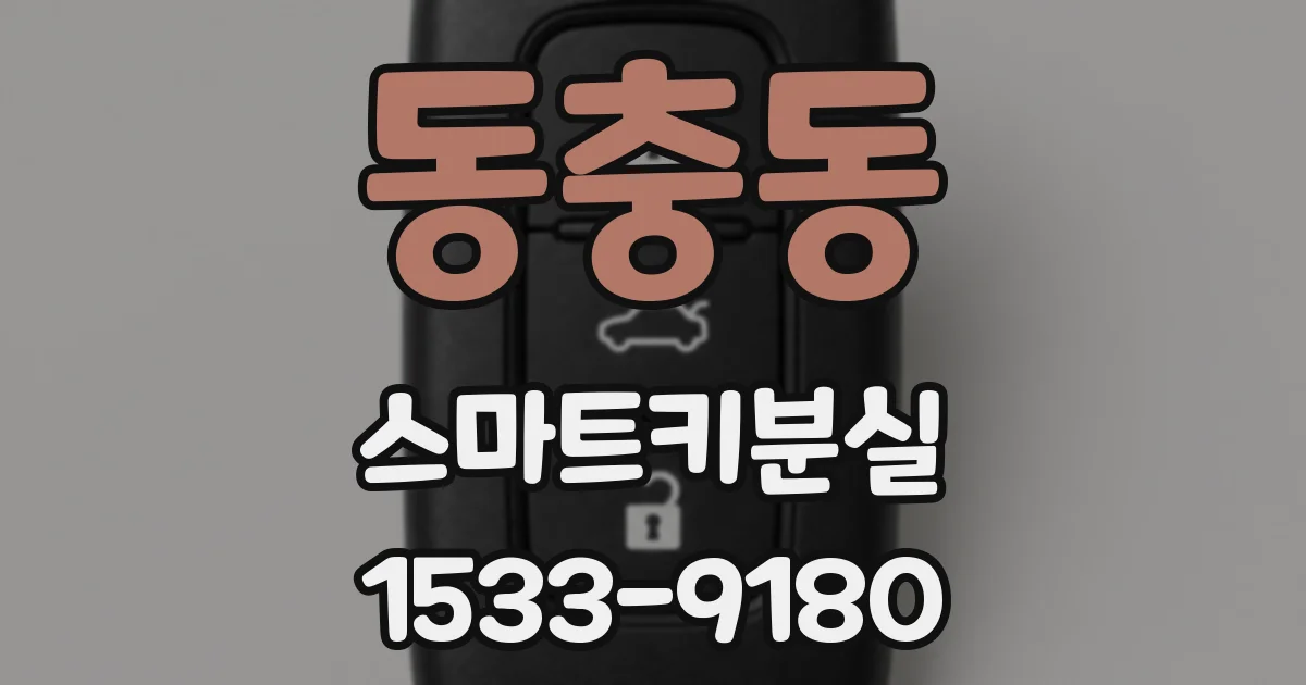 동충동 스마트키분실