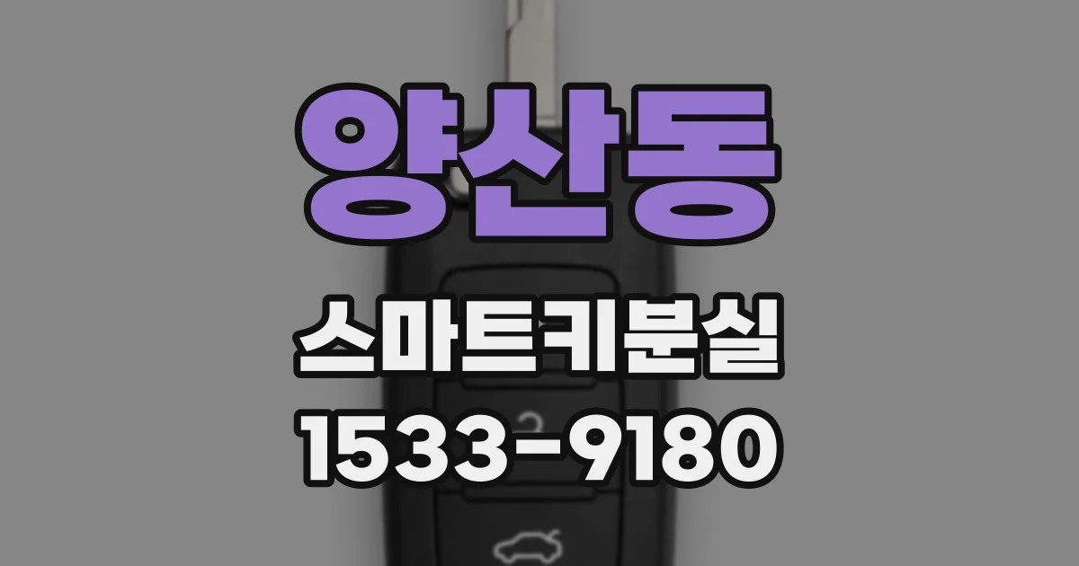 양산동 스마트키분실