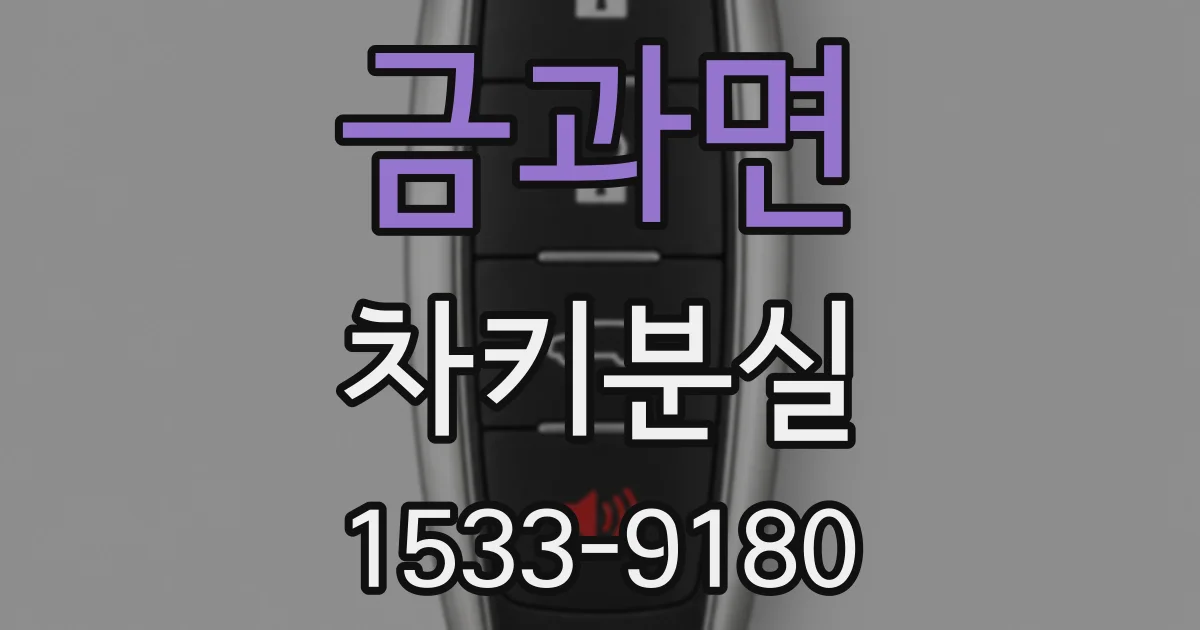 금과면 차키분실
