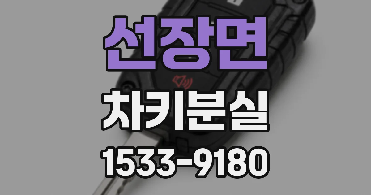 선장면 차키분실