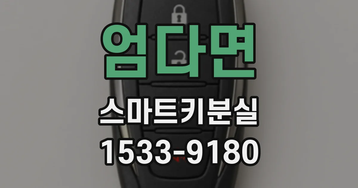 엄다면 스마트키분실