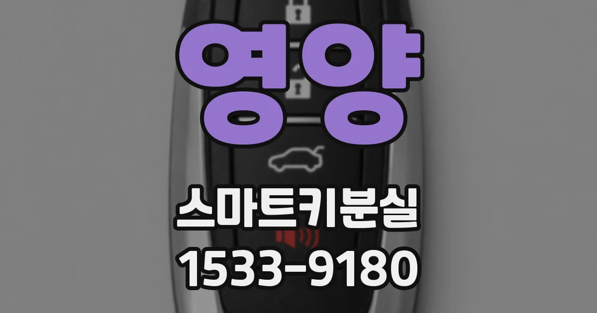 영양 스마트키분실