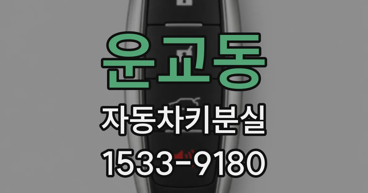 운교동 자동차키분실