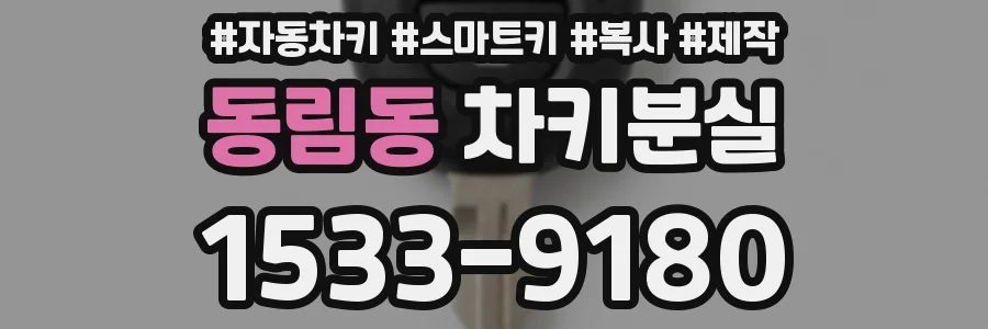 동림동 차키분실