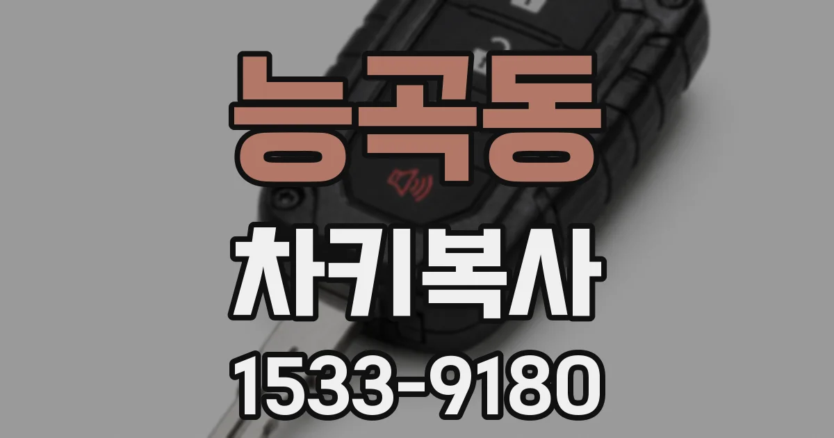 능곡동 차키복사