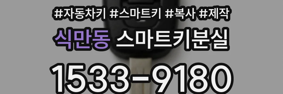식만동 스마트키분실