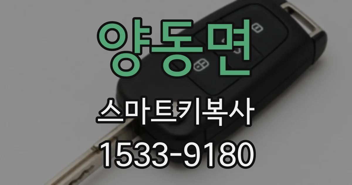양동면 스마트키복사