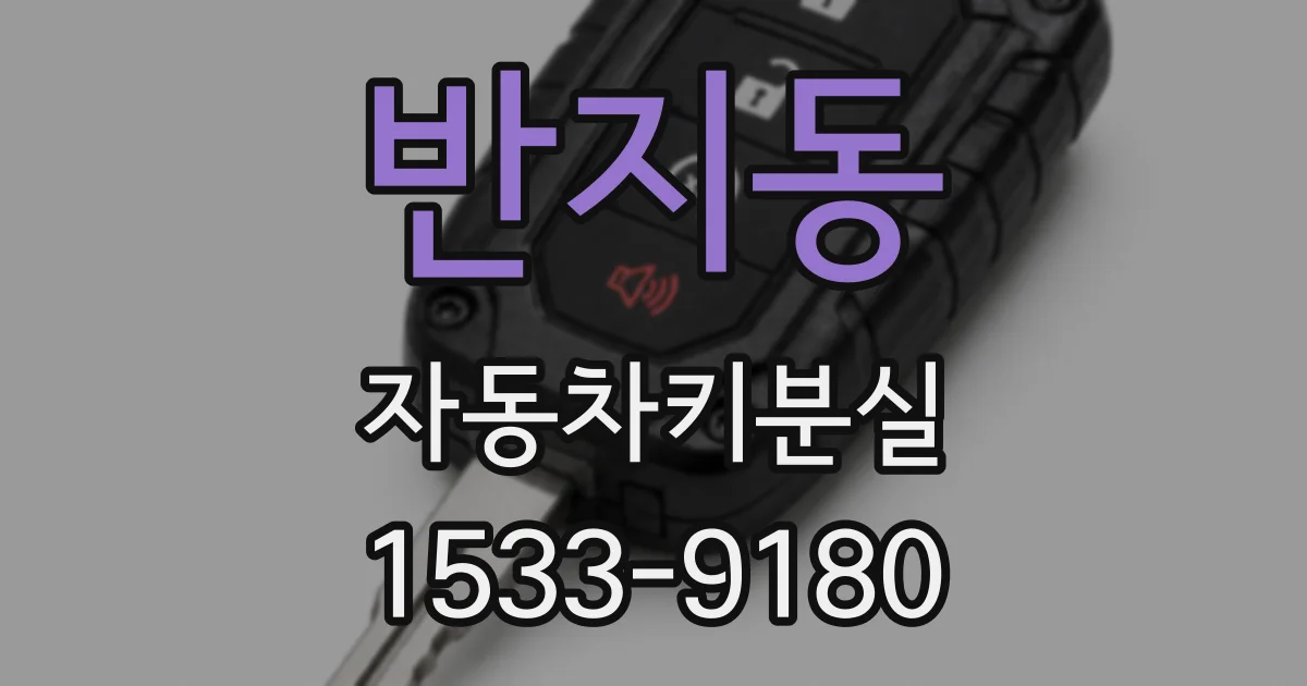 반지동 자동차키분실