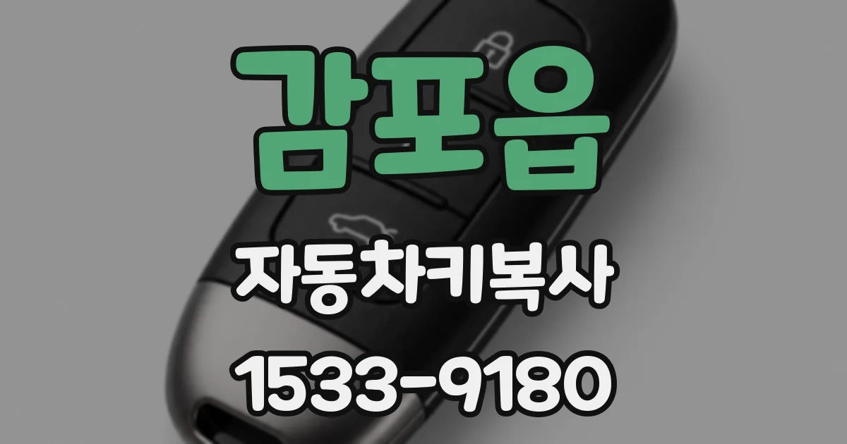 감포읍 자동차키복사