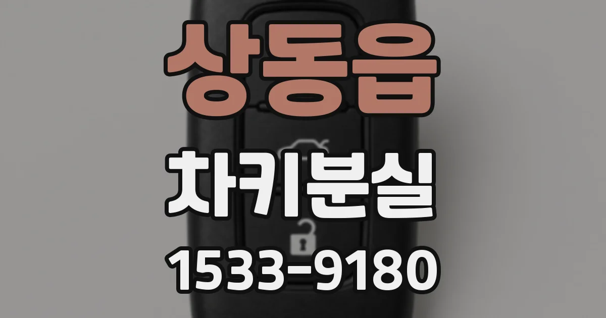 상동읍 차키분실