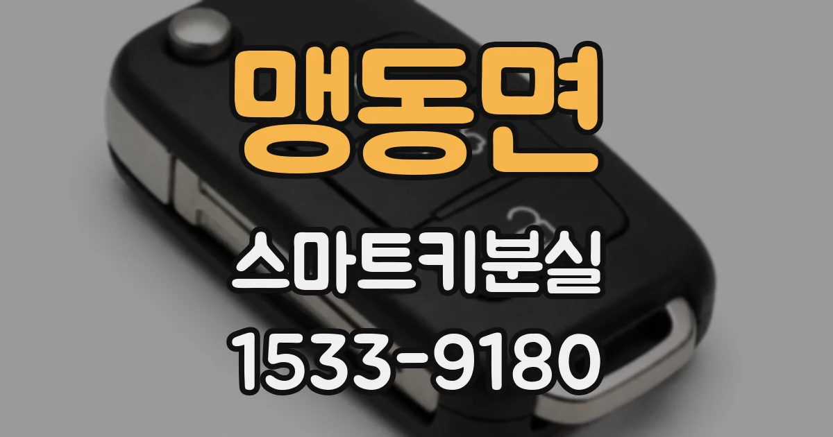 맹동면 스마트키분실