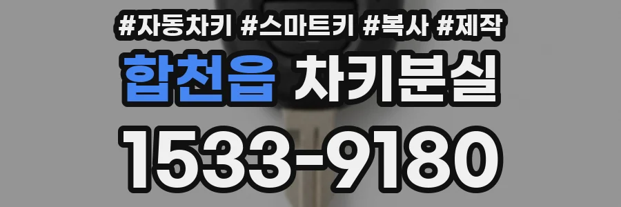 합천읍 차키분실