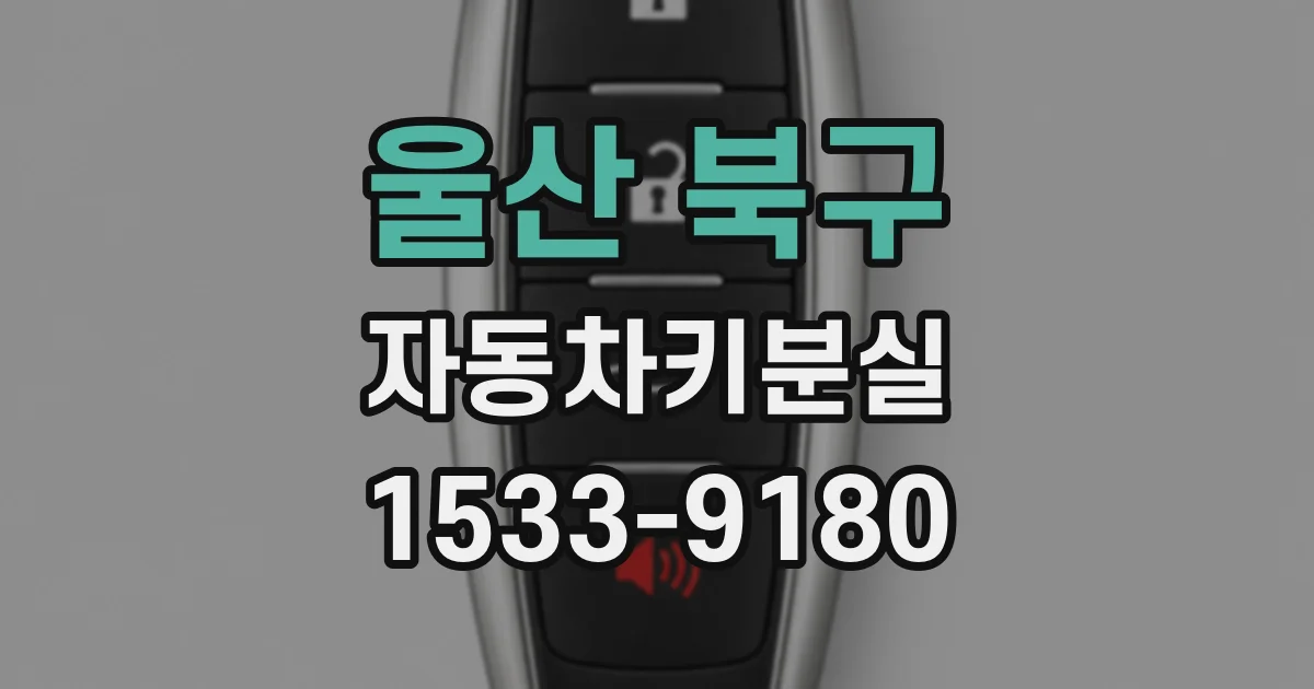 울산 북구 자동차키분실