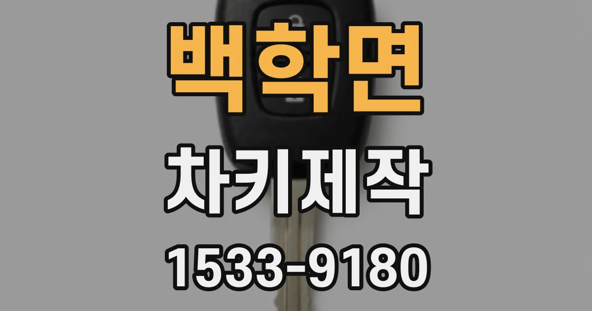 백학면 차키제작
