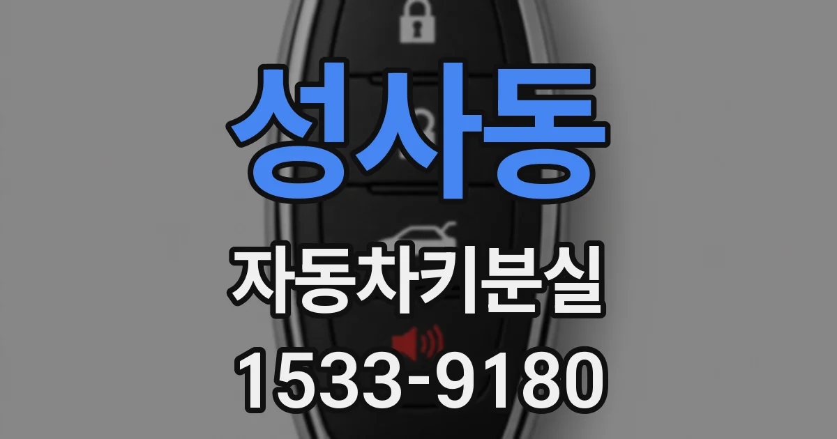 성사동 자동차키분실