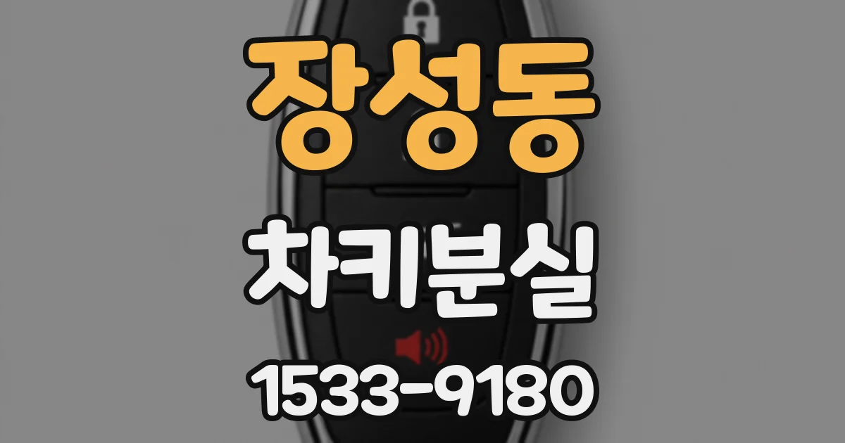 장성동 차키분실