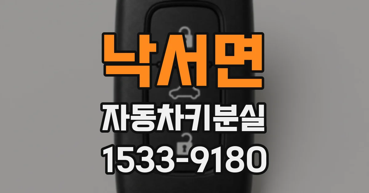 낙서면 자동차키분실