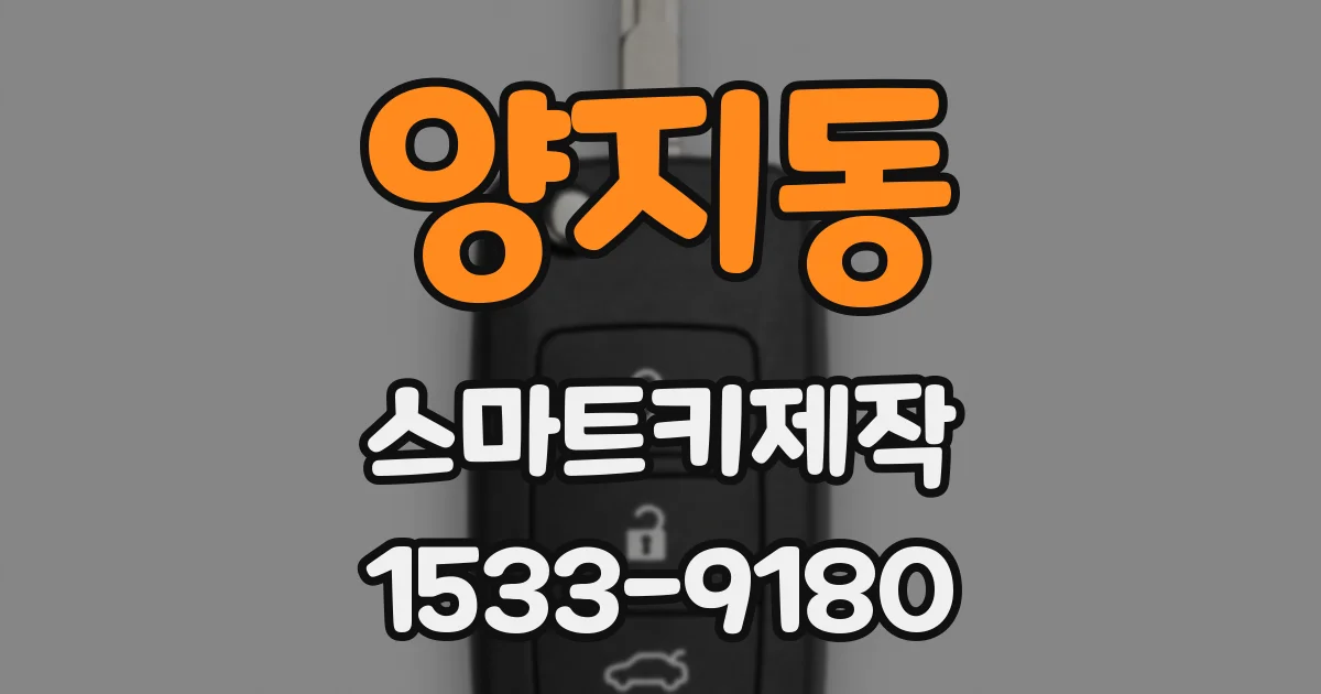 양지동 스마트키제작