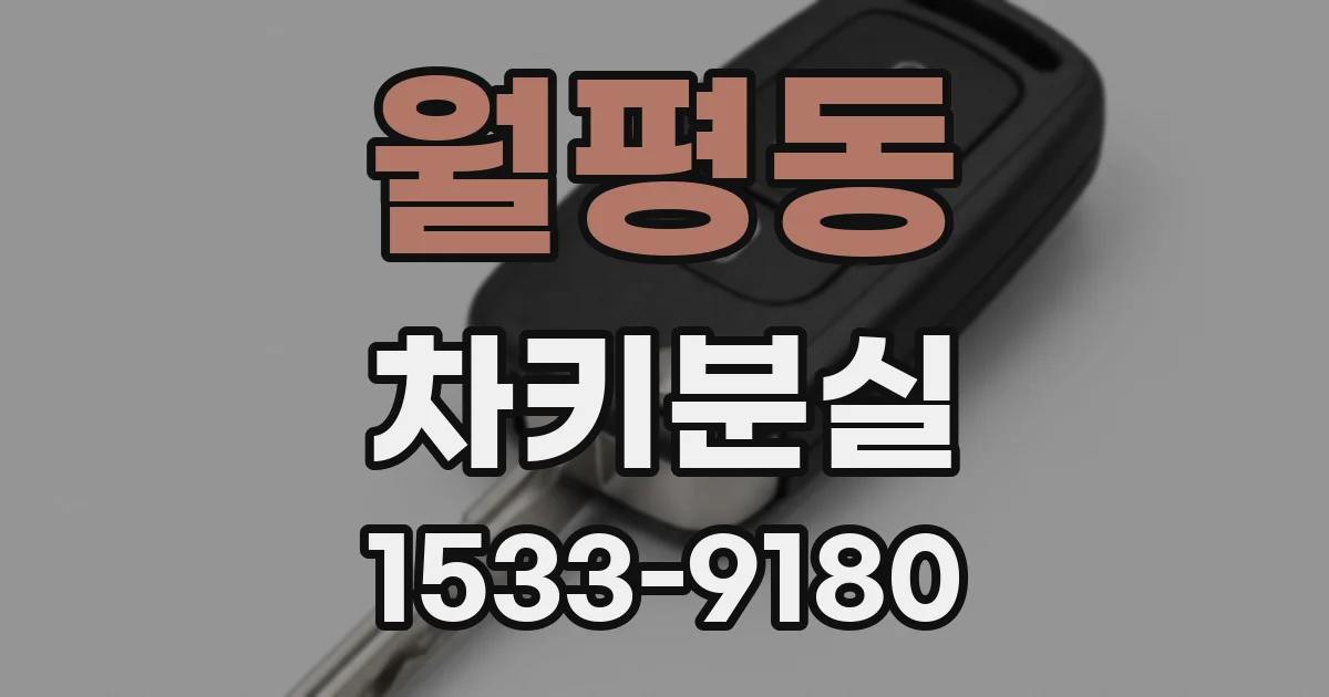 월평동 차키분실