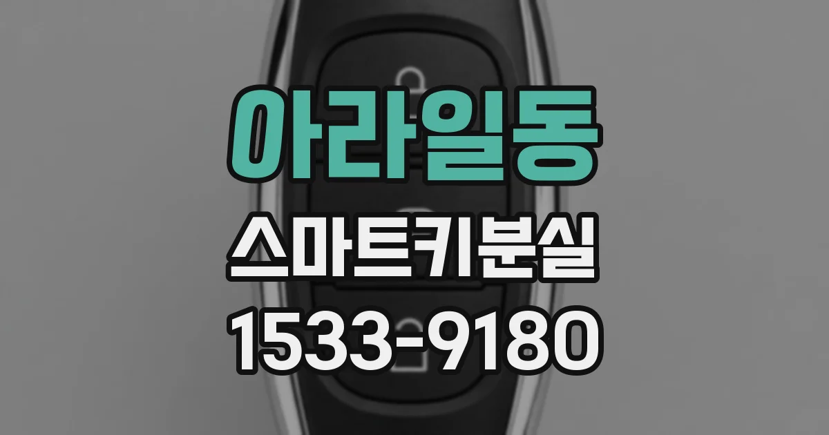 아라일동 스마트키분실