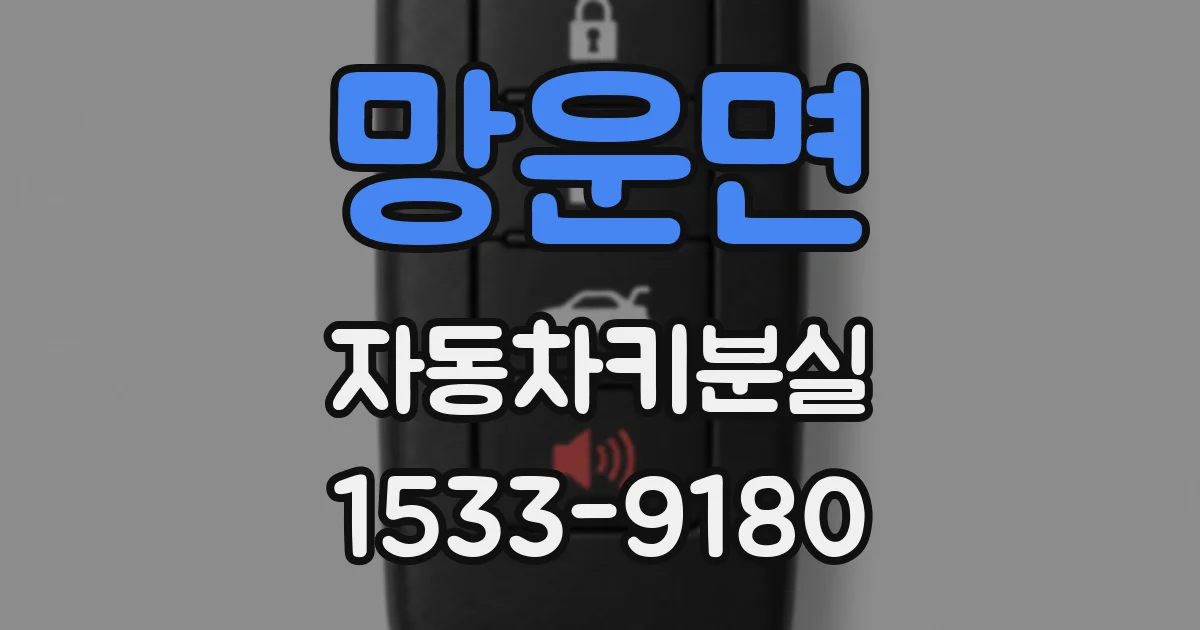 망운면 자동차키분실