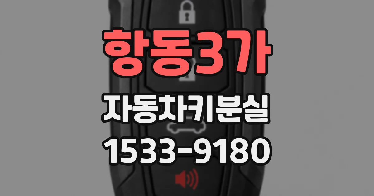 항동3가 자동차키분실