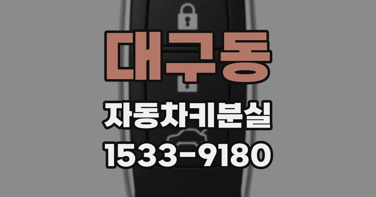 대구동 자동차키분실