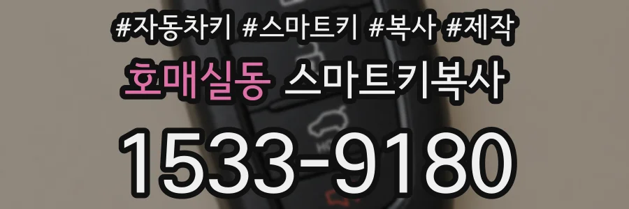 호매실동 스마트키복사