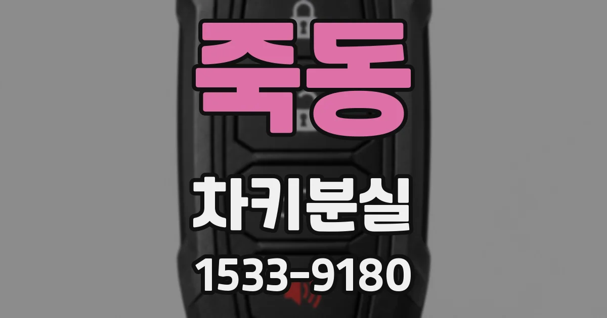 죽동 차키분실