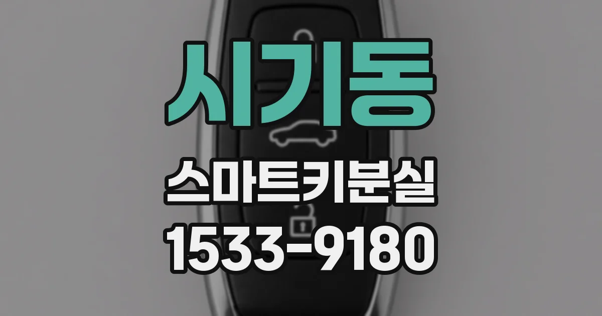 시기동 스마트키분실
