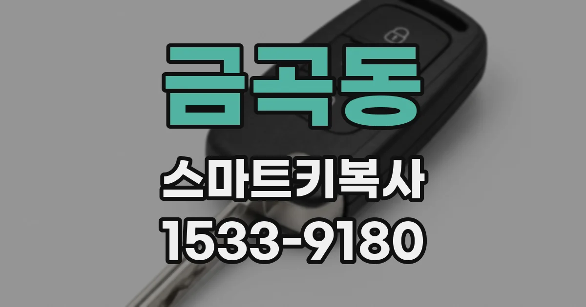 금곡동 스마트키복사