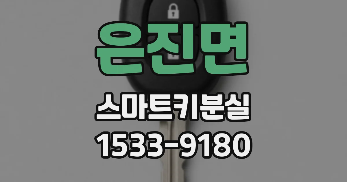 은진면 스마트키분실