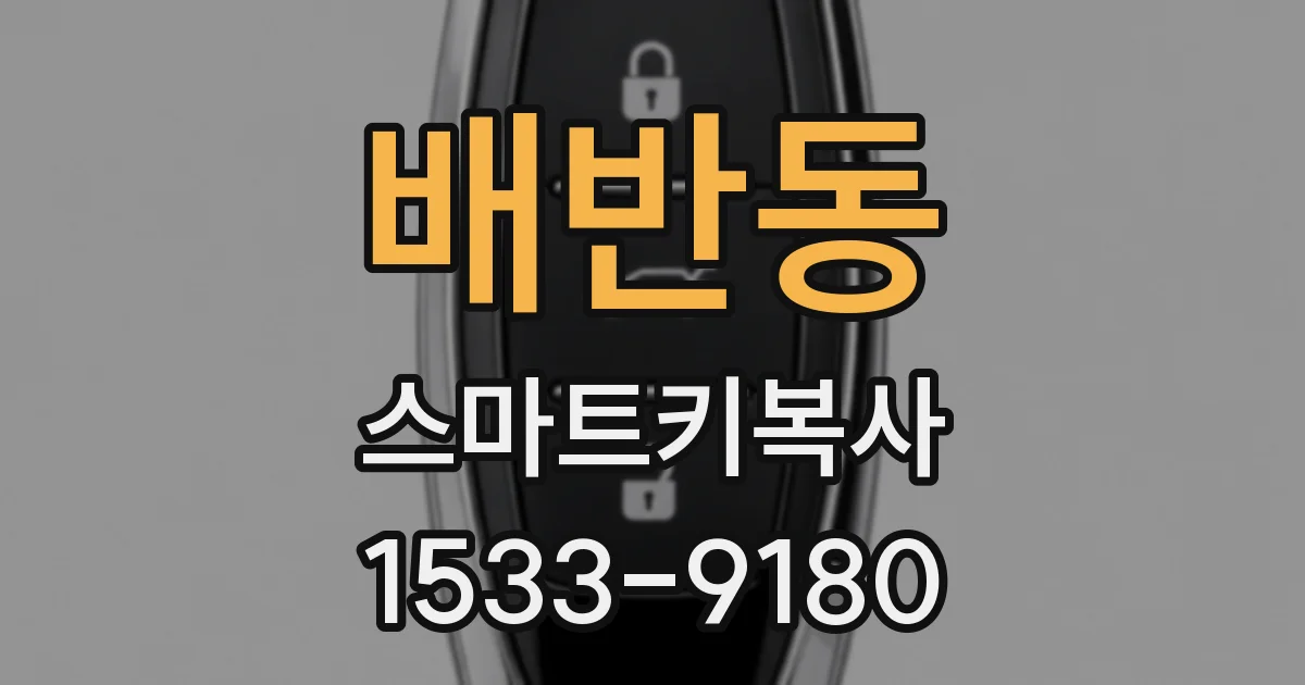 배반동 스마트키복사