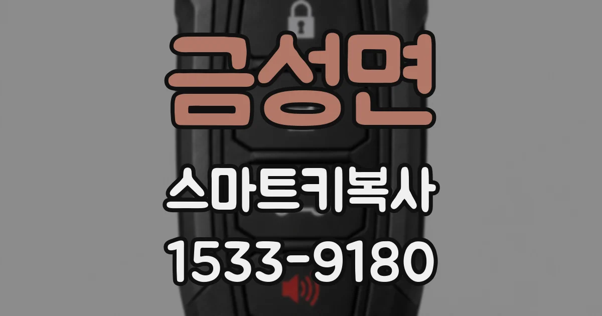 금성면 스마트키복사