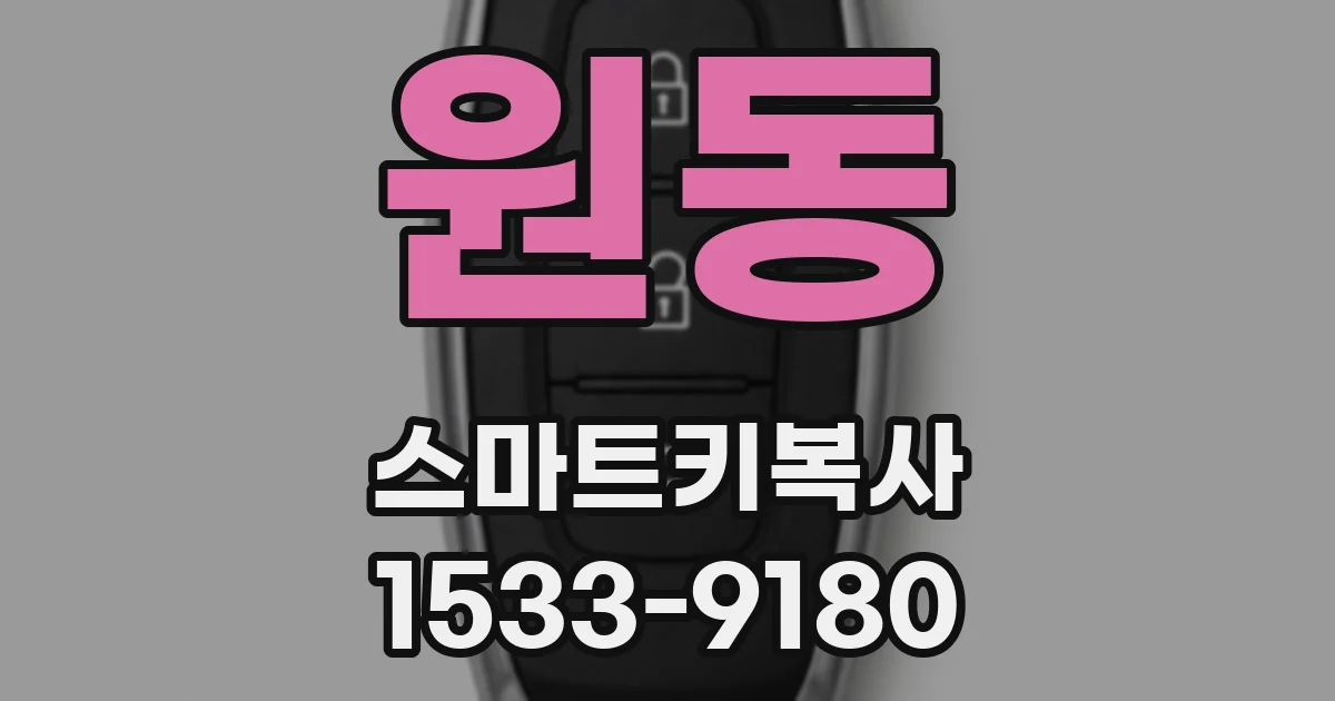 원동 스마트키복사