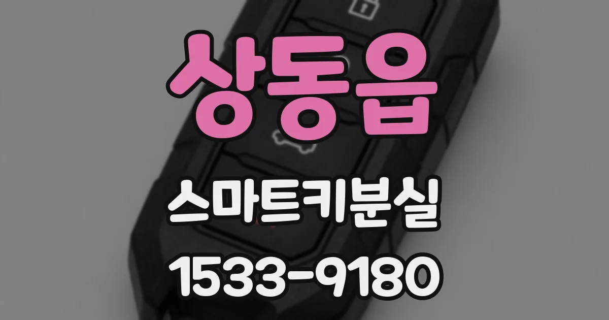 상동읍 스마트키분실