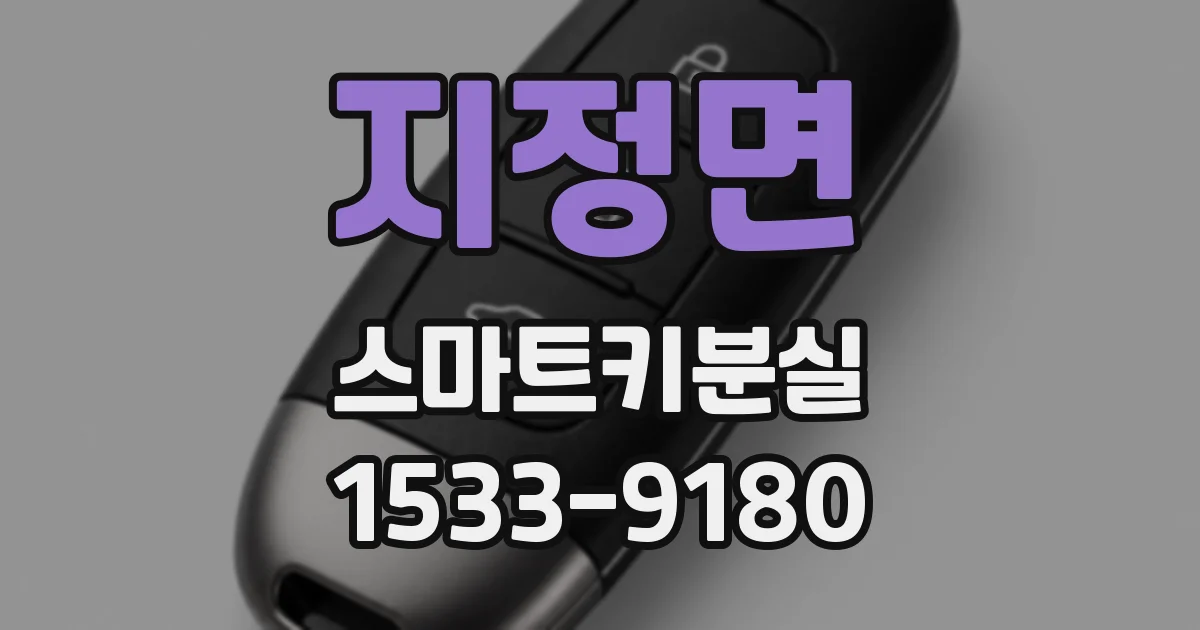 지정면 스마트키분실