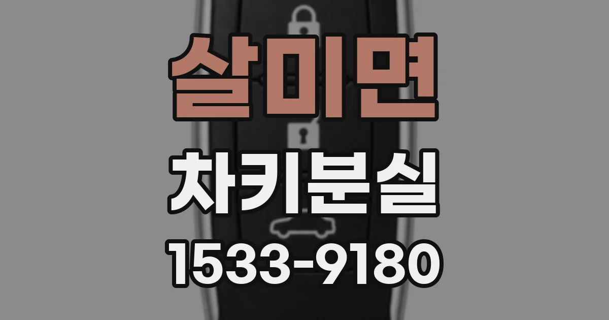 살미면 차키분실
