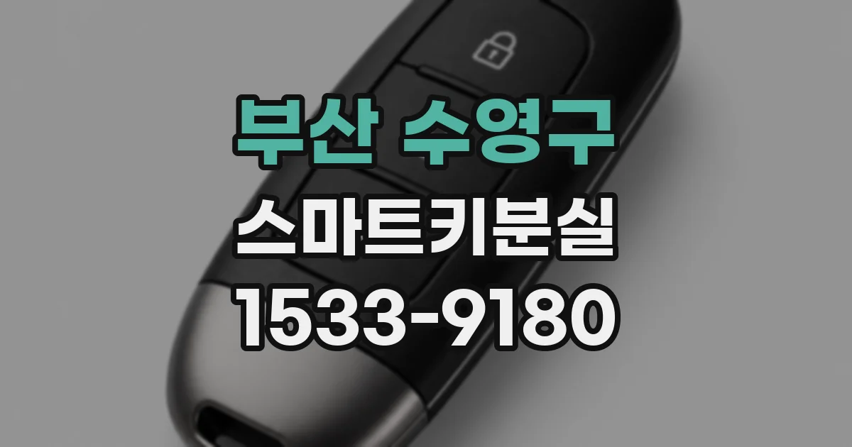 부산 수영구 스마트키분실